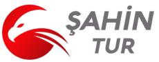 Şahintur Transfer